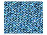 280 Blue Scale